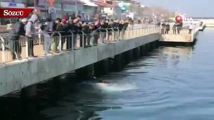 Denize düşen kediyi buz gibi suya girerek kurtardı