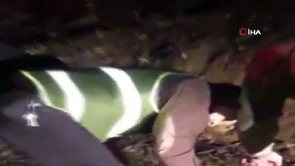 Elazığ’da kaçak avlanan  keklikler doğaya salındı