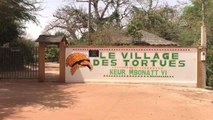 Senegal'de Kaplumbağalara Ait Bir Köy: 