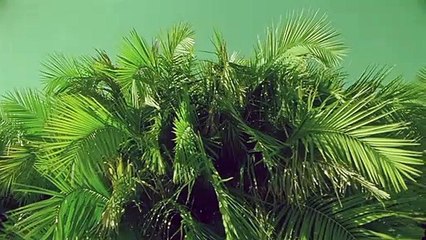 괴산출장안마 {Ø1Øx2703x7745}【카톡VVV75】괴산출장샵'예약'괴산출장마사지 괴산여대생출장 괴산여고생출장 괴산콜걸샵