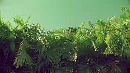 보은출장안마 {Ø1Øx2703x7745}【카톡VVV75】보은출장샵'예약'보은출장마사지 보은여대생출장 보은여고생출장 보은콜걸샵