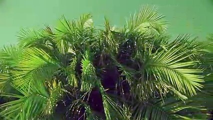 증평출장안마 {Ø1Øx2703x7745}【카톡VVV75】증평출장샵'예약'증평출장마사지 증평여대생출장 증평여고생출장 증평콜걸샵