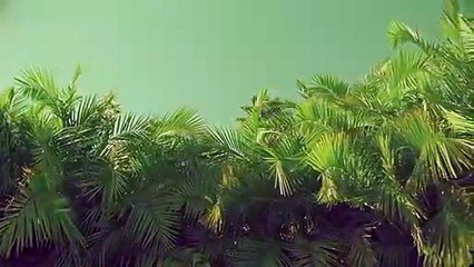 청원출장안마 {Ø1Øx2703x7745}【카톡VVV75】청원출장샵'예약'청원출장마사지 청원여대생출장 청원여고생출장 청원콜걸샵