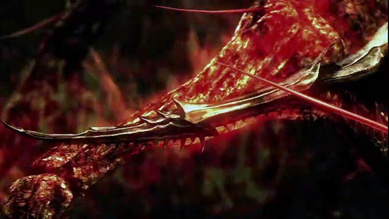 Dark Souls - Tráiler (2)
