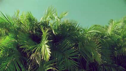 진도출장안마 {Ø1Øx2703x7745}【카톡VVV75】진도출장샵'예약'진도출장마사지 진도여대생출장 진도여고생출장 진도콜걸샵