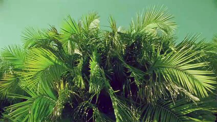 군위출장안마 {Ø1Øx2703x7745}【카톡VVV75】군위출장샵'예약'군위출장마사지 군위여대생출장 군위여고생출장 군위콜걸샵