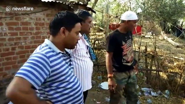 Furious cobra rescued from beer can in east India