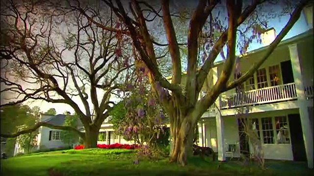 Tiger Woods PGA Tour 12: The Masters - Demo Xbox 360