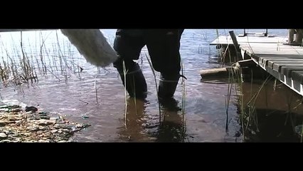 Amnesia: The Dark Descent - Sonido