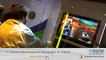 Jugando a Kinect - Vandal TV E3 2010