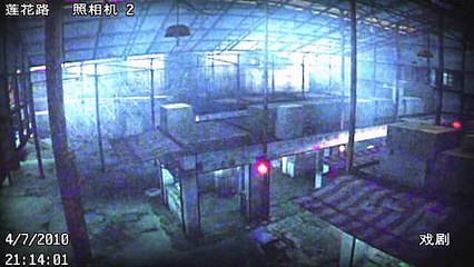 Kane & Lynch 2: Dog Days - De incógnito