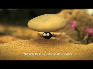 Minuscule - Pea Supper / Purée de Pois (Season 2)