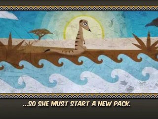Lead the Meerkats - Tráiler