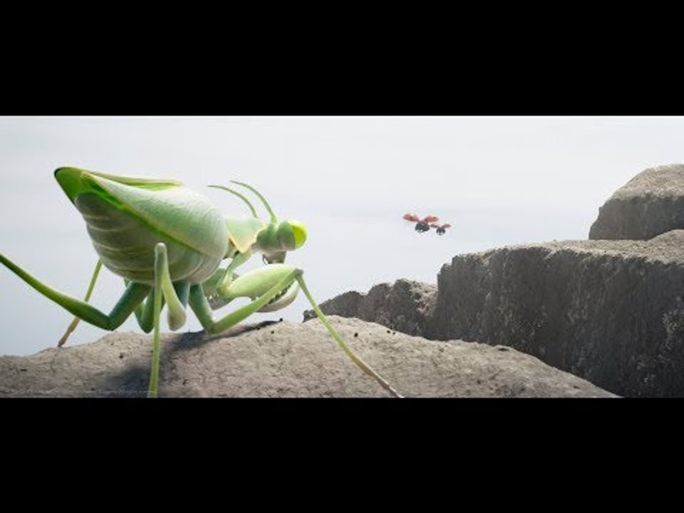 BANDE-ANNONCE OFFICIELLE DU NOUVEAU FILM MINUSCULE !