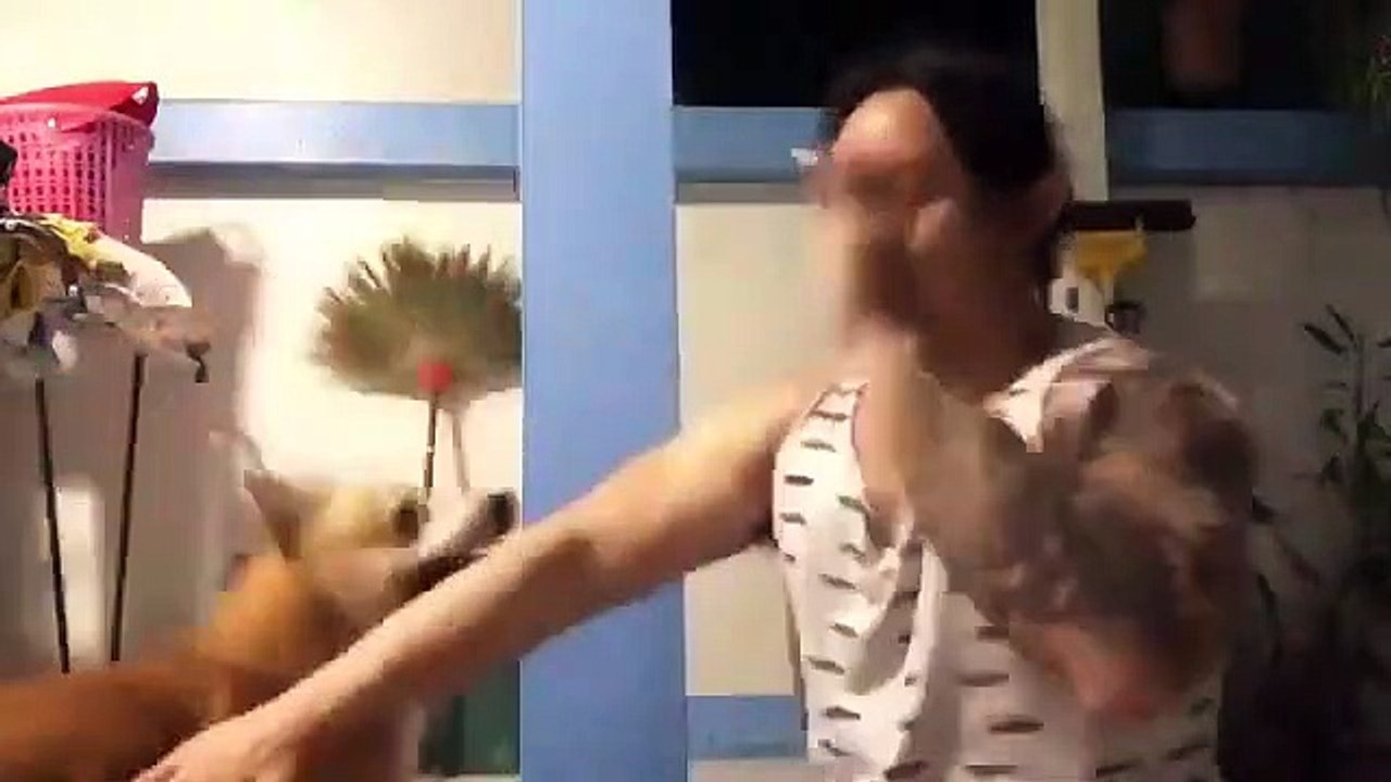 Entraînement de Kung Fu avec son chien !