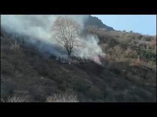 Report Tv-Zjarr pranë aksit Gjirokastër-Tepelenë, dyshohet e qëllimshme