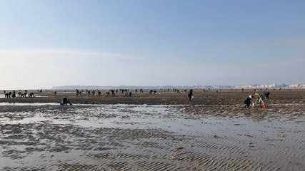 Semaine de Grandes Marées