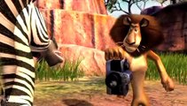 Madagascar: Escape 2 Africa - Tráiler