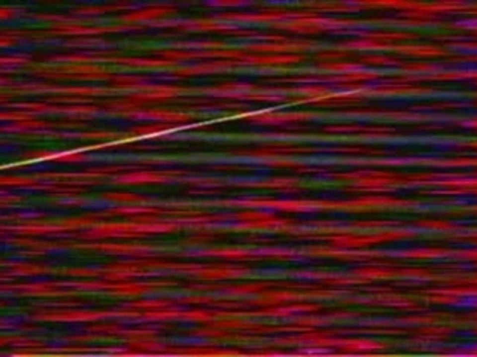 Berurier Noir - Les enfants du Rock