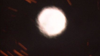 [영상] 정월대보름, 달을 보며 소원 빌어요 / YTN