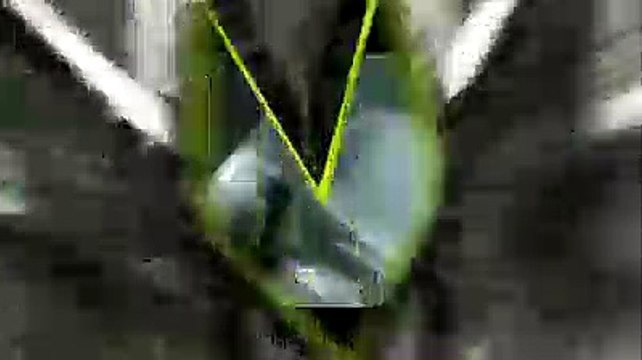 Need for Speed ProStreet - GTR Racing