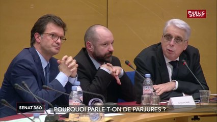 Affaire Benalla:  Velour et France close protection, "Je n'ai rien à voir avec ces deux sociétés" affirme Vincent Crase