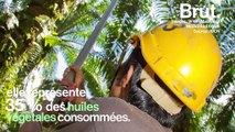 Comment remplacer l'huile de palme ?