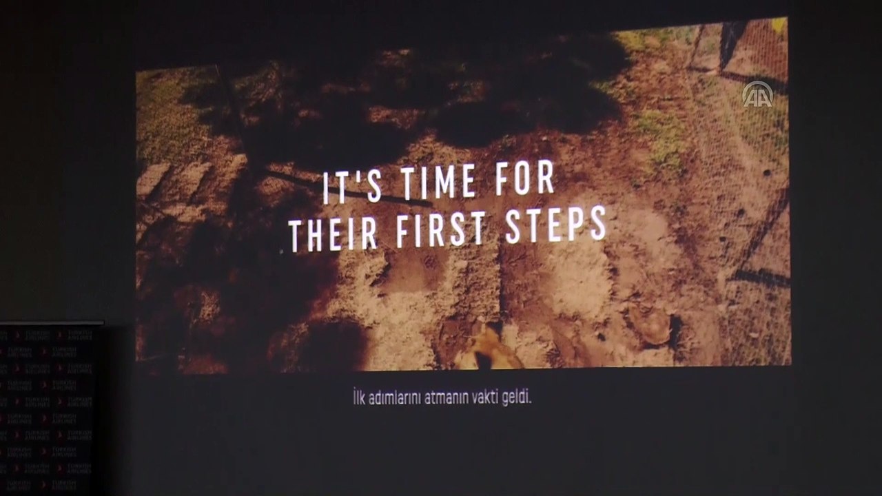 Türk Hava Yolları Genel Müdürü Ekşi: 'Dünya nüfusunun neredeyse yüzde 80'ine ulaşıyoruz' - KAYSERİ