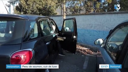 La peau de saumon sera-t-elle le cuir du futur ?