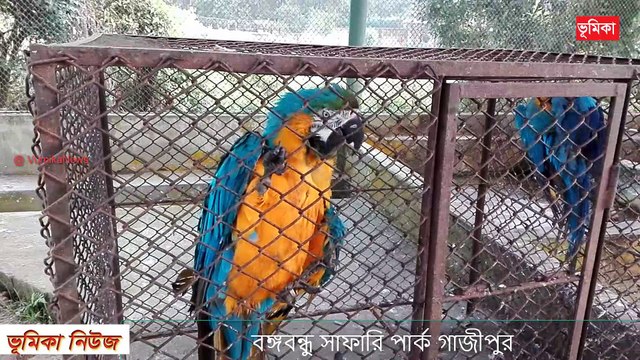 বঙ্গবন্ধু সাফারি পার্ক Gazipur Bangabondhu Safari Park Bangabandhu Sheikh Mujib Safari Park