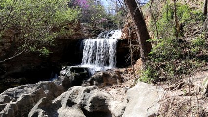 Tanyard Creek Waterfall