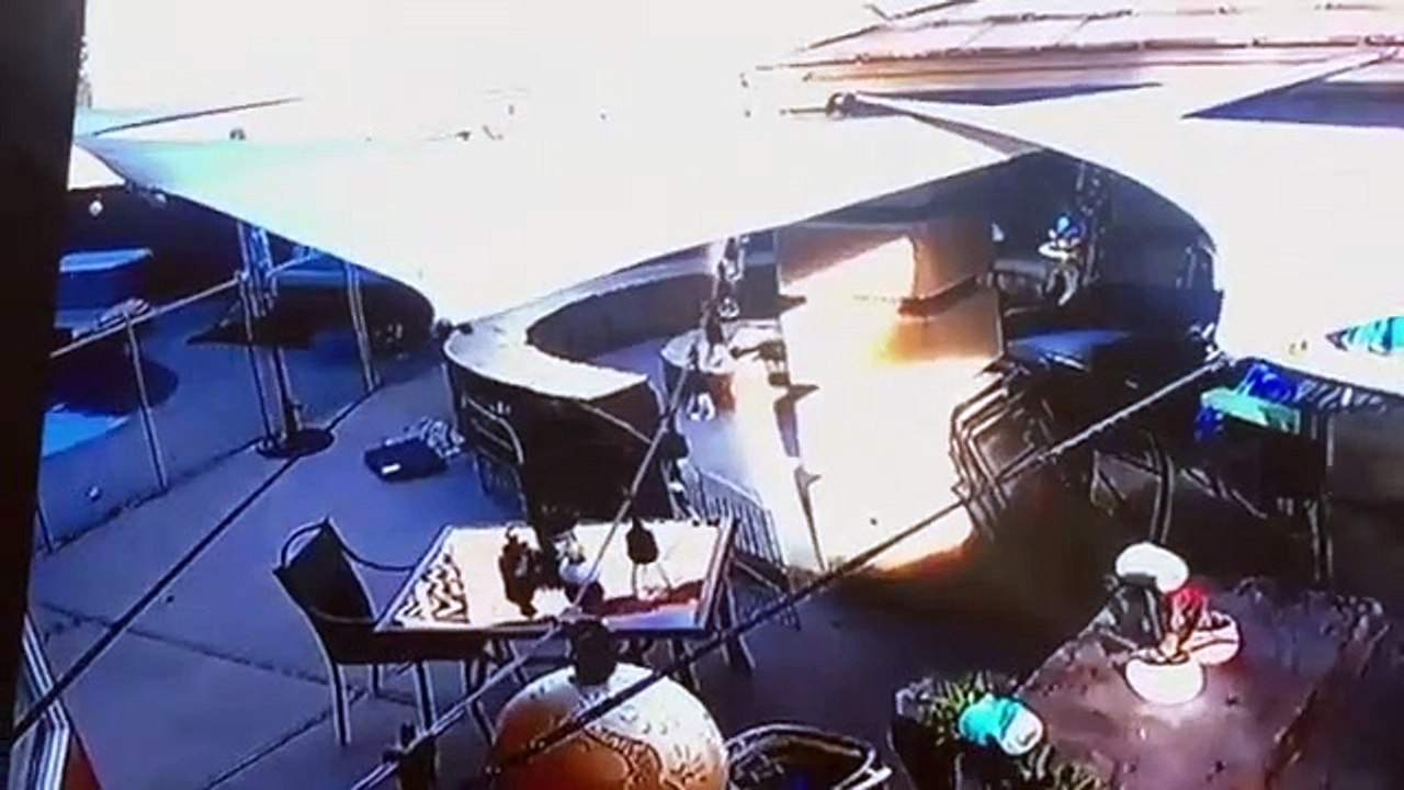 Las Vegas : un faucon attaque un petit chien