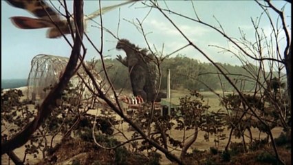 Mothra vs. Godzilla - Godzilla vs Mothra