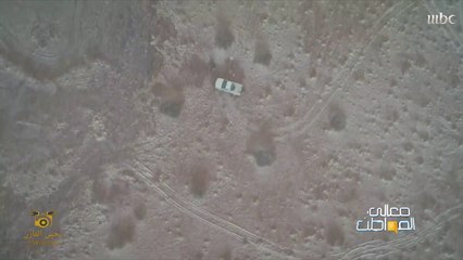 قاتل أسود يهدد بعض مناطق السعودي