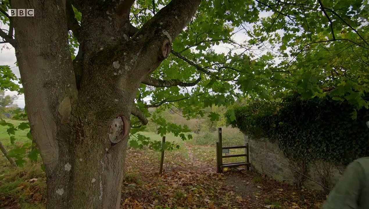 Mortimer & Whitehouse Gone Fishing S01E02