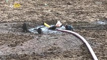 Man Rescued After Getting Stuck in Manure Pit Trying to Rescue His Dog