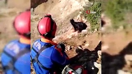 Uçurumun kenarından keçiyi böyle kurtardılar