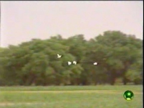 Ouleya mint amartichitte (Laayoune) mauritanie