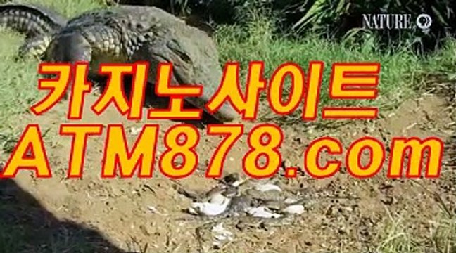 xo바카라추천 『『ＴＴＳ332。C0M』』 테크노바카라사이트