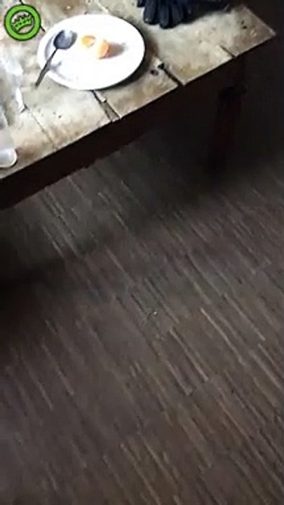 Son colocataire lui fait une blague car il a oublié ses clefs