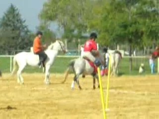 2 TASSES pony-games