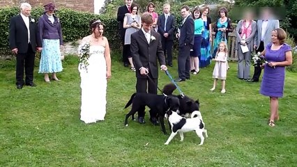 awesome funny events