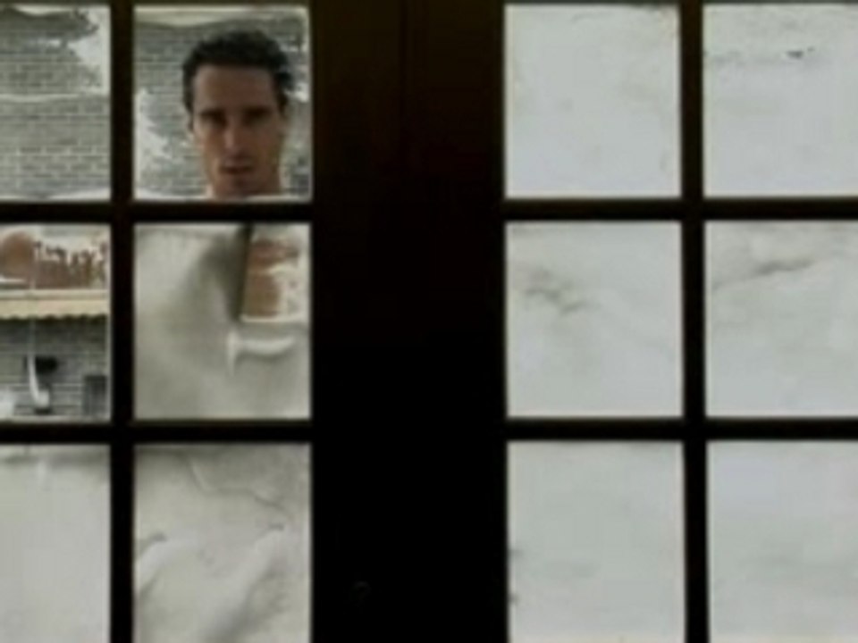 Pub REVERSA - Jardinier et les vitres