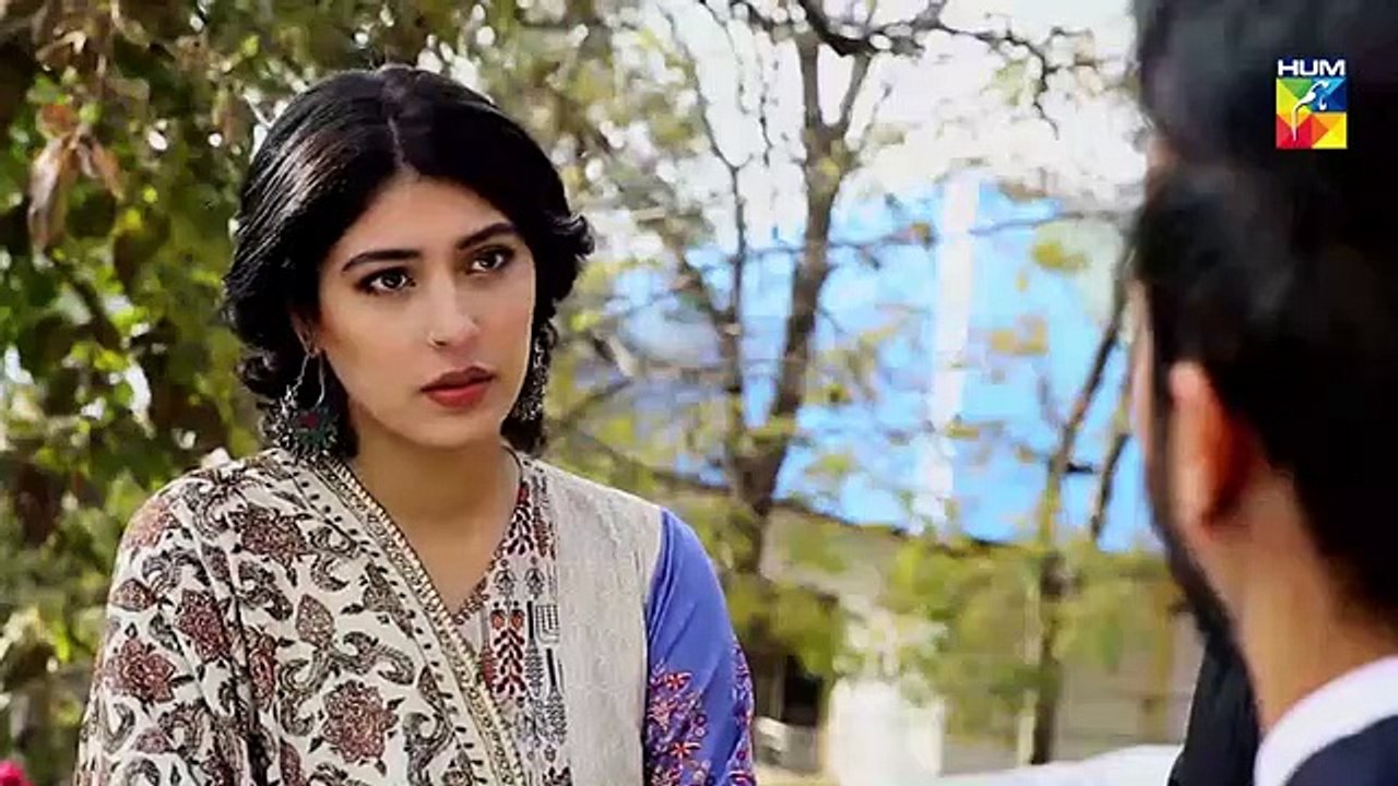 Tu Ishq Hai Epi 25 HUM TV Drama 20 February 2019