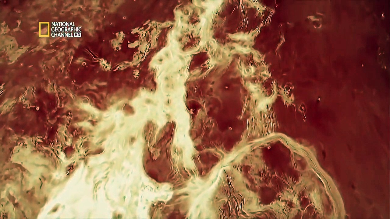 Documentaire: Il Était Une Fois Notre Planète (FR HD) prt 1/2