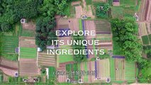 Flavorful Origins (Season 1) - Netflix Original Docuseries