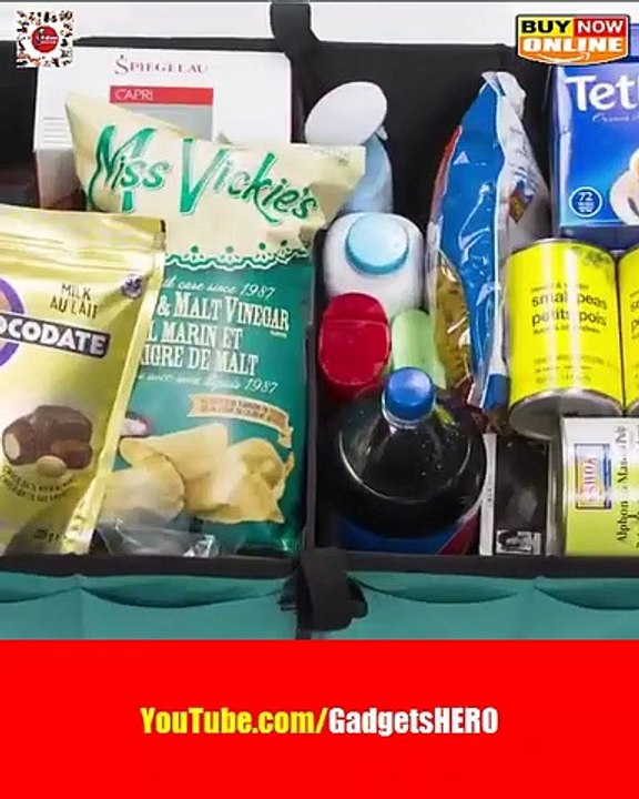 This organizer keeps your trunk neat