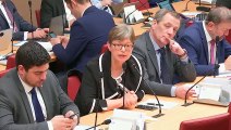 Commission des affaires économiques : Mme Agnès Pannier-Runacher, ministre  sur la reconquête industrielle : industrie et innovation, attractivité et territoires - Mercredi 20 février 2019