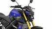 2019 Yamaha MT-15 New Version Monster Energy Yamaha MotoGP | Mich Motorcycle