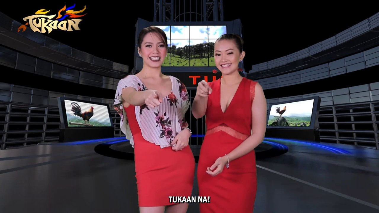 Tukaan – February 17, 2019
